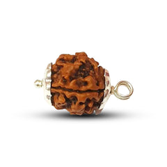 4 Mukhi Rudraksha (Nepali) - Super Collector