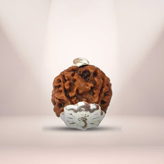 4 Mukhi Rudraksha (Nepali) - Super Collector