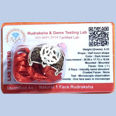 1 Mukhi Half Moon Shaped Rudraksha