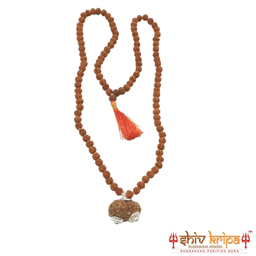 Gauri Shankar Five Mukhi Rudraksha Mala