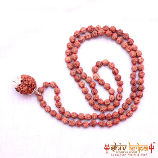 4 Mukhi Rudraksha With 5 Mukhi Rudraksha Mala