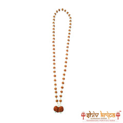 Gauri Shankar 5 Mukhi Rudraksha Mala