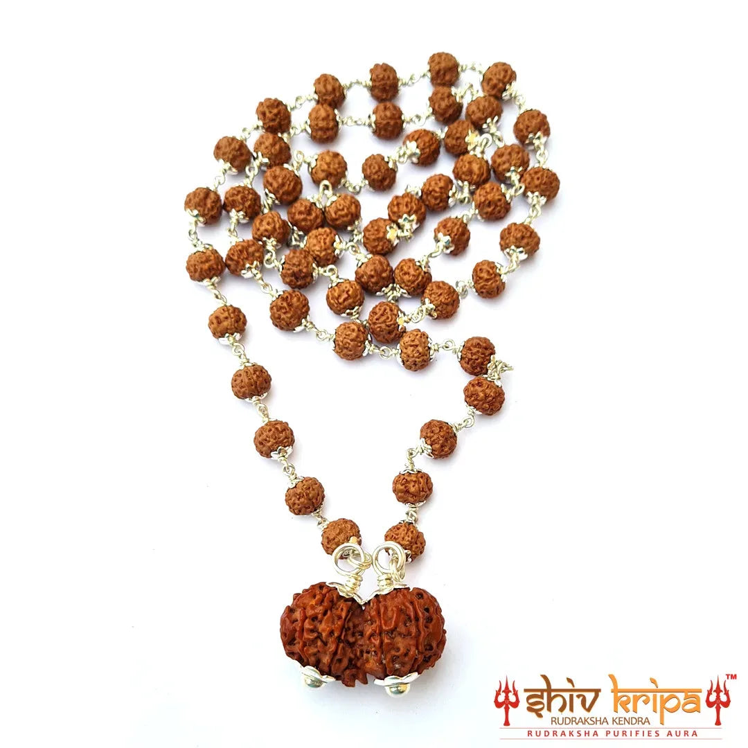 Gauri Shankar 5 Mukhi Rudraksha Mala