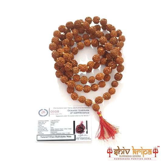 Natural 5 Mukhi Rudraksha Mala