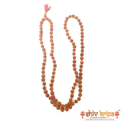 Natural 5 Mukhi Rudraksha Mala