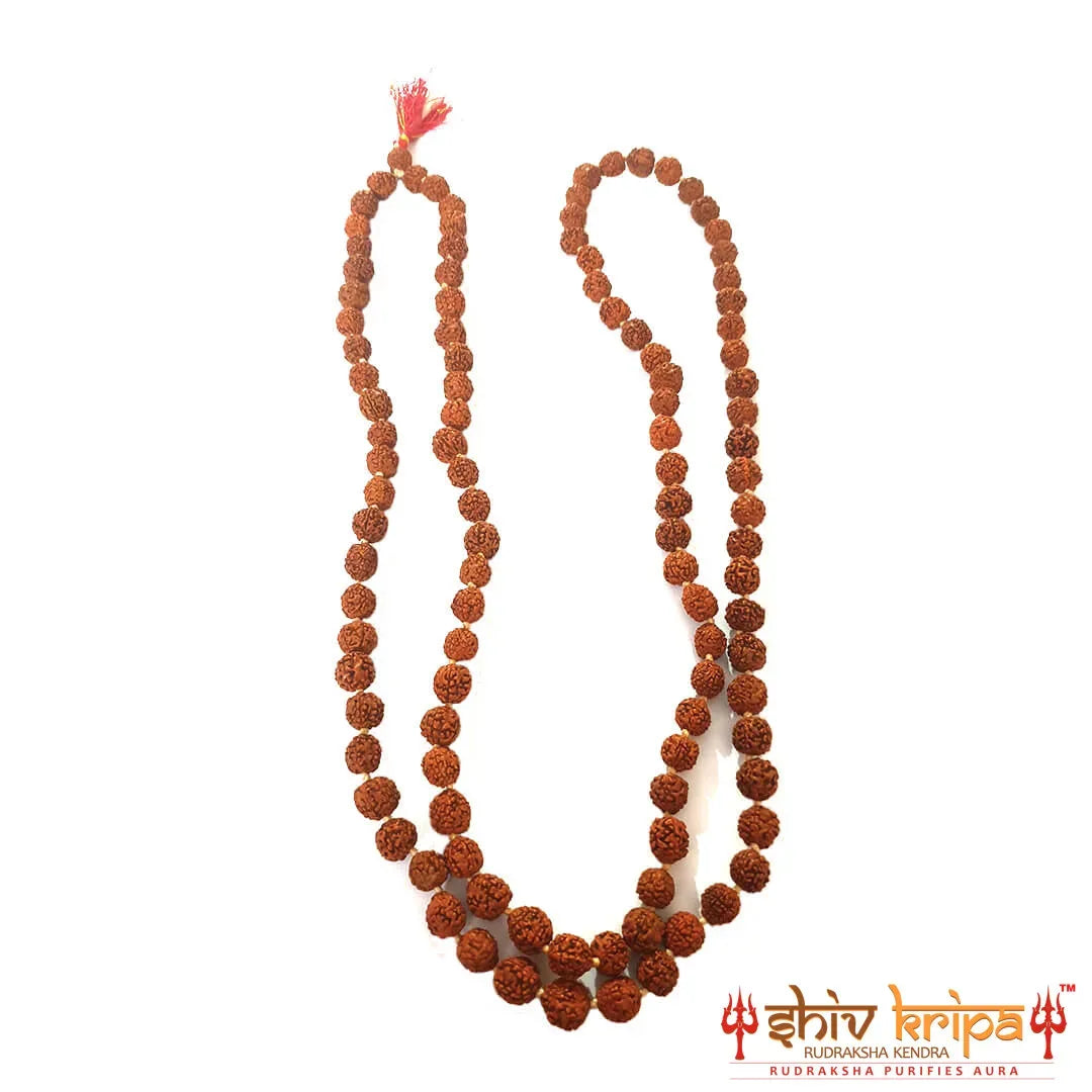 Natural 5 Mukhi Rudraksha Mala