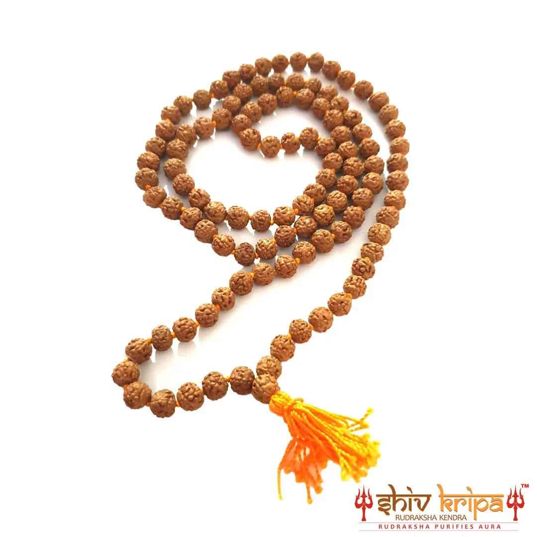 Semi Chikna Premium Rudraksha Mala