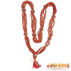 Big Size 5 Mukhi Rudraksha Mala Nepali