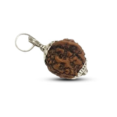 5 Mukhi Rudraksha (Ganesh)