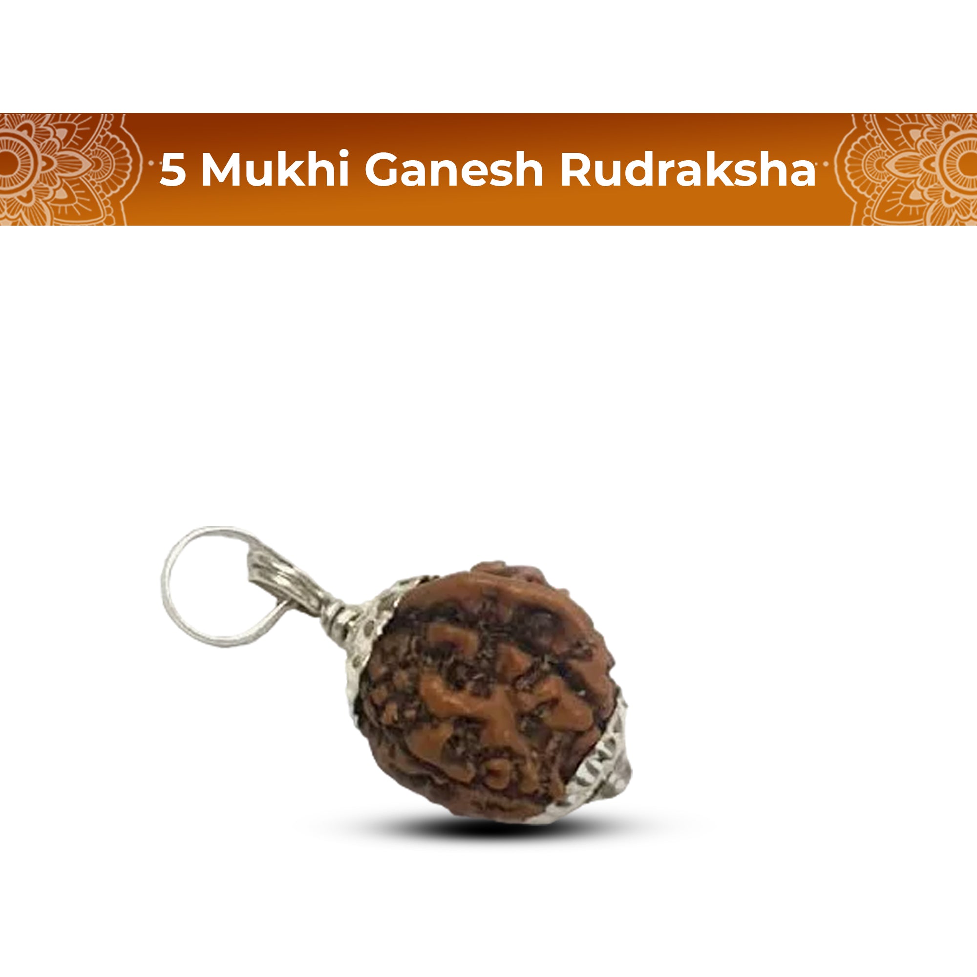 5 Mukhi Rudraksha (Ganesh)