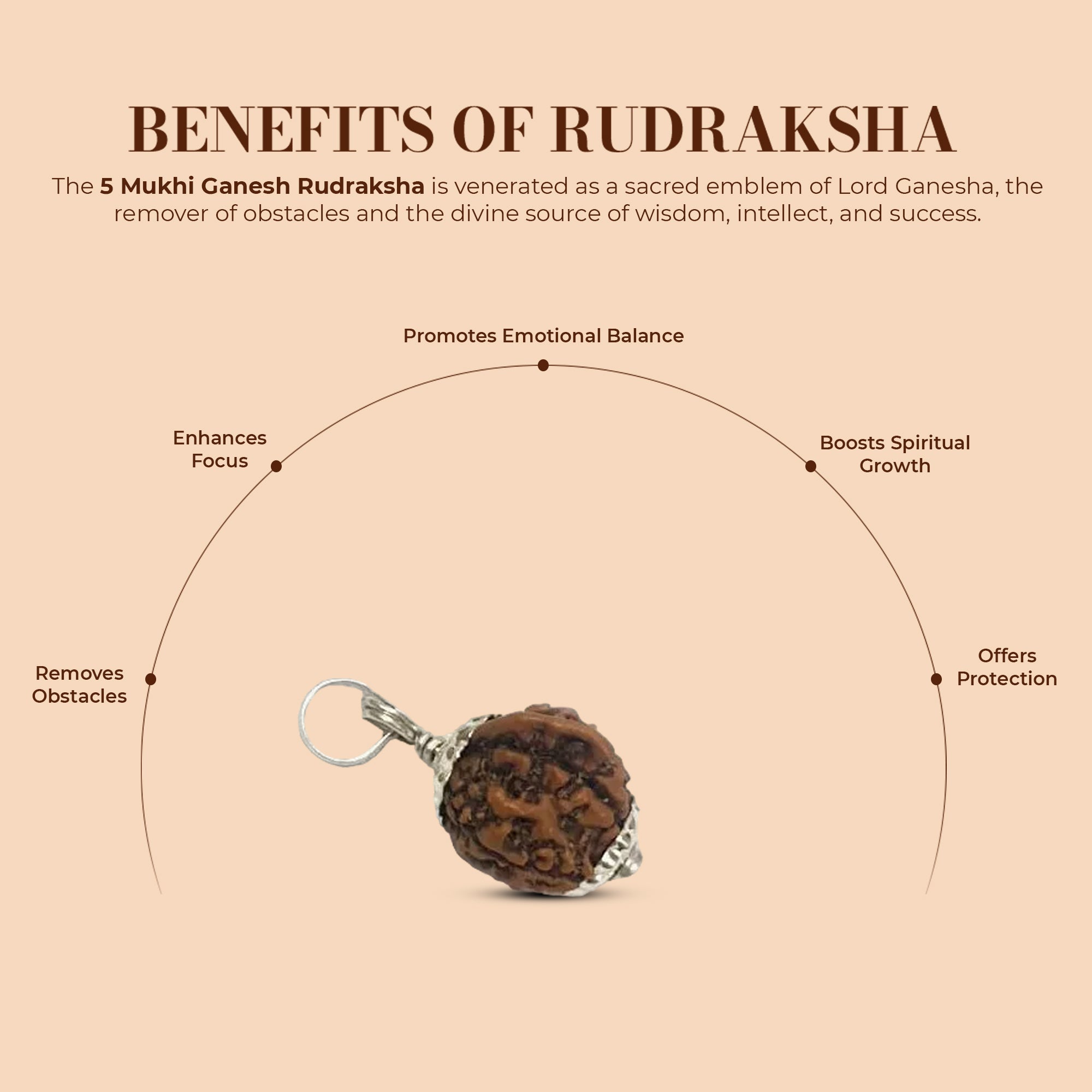 5 Mukhi Rudraksha (Ganesh)