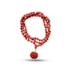 6 Mukhi Rudraksha With 5 Mukhi Rudraksha Mala