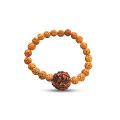 6 Mukhi Rudraksha Bracelet