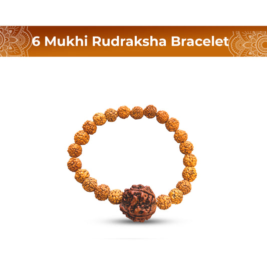 6 Mukhi Rudraksha Bracelet