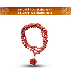 6 Mukhi Rudraksha With 5 Mukhi Rudraksha Mala