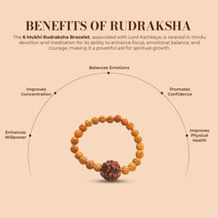 6 Mukhi Rudraksha Bracelet