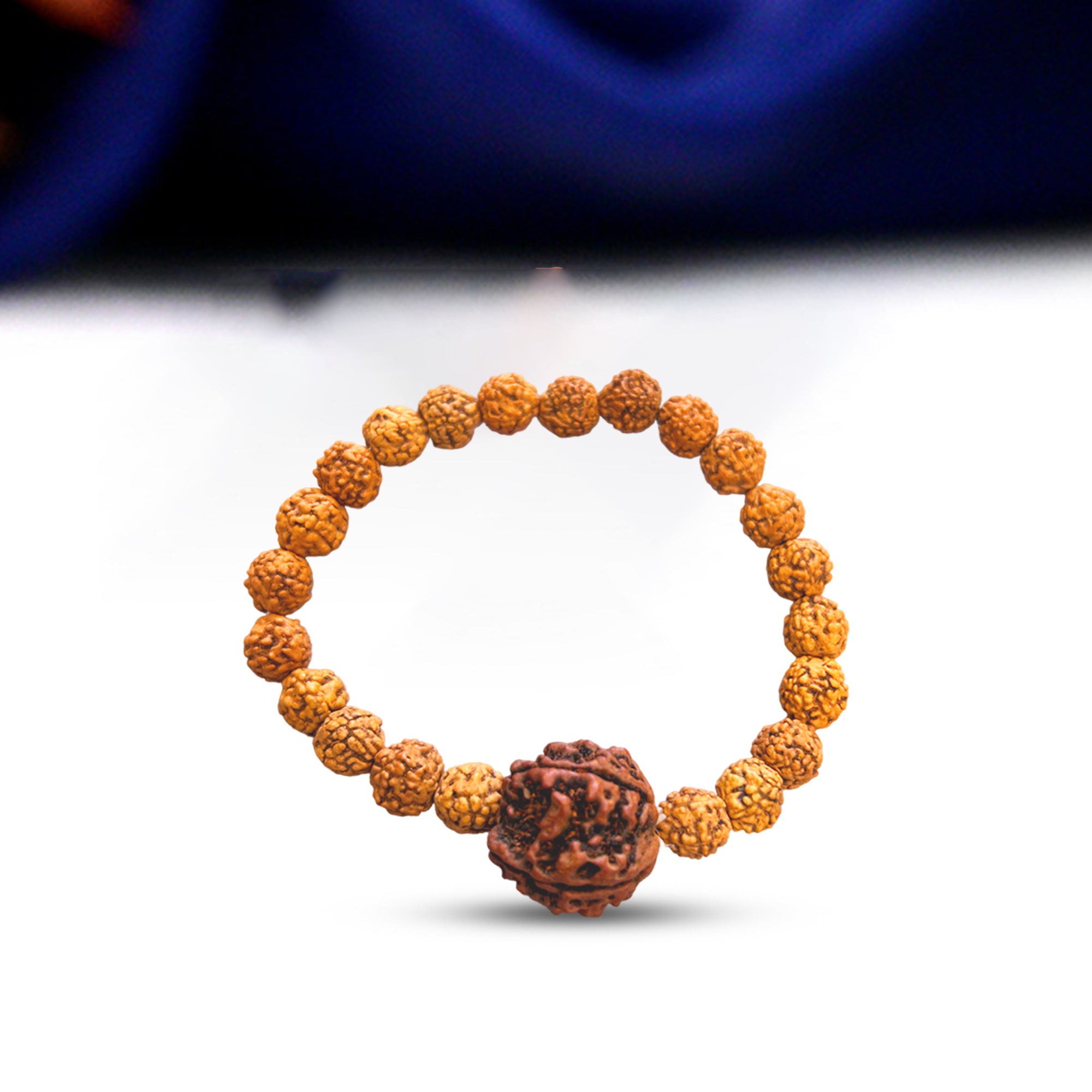 6 Mukhi Rudraksha Bracelet