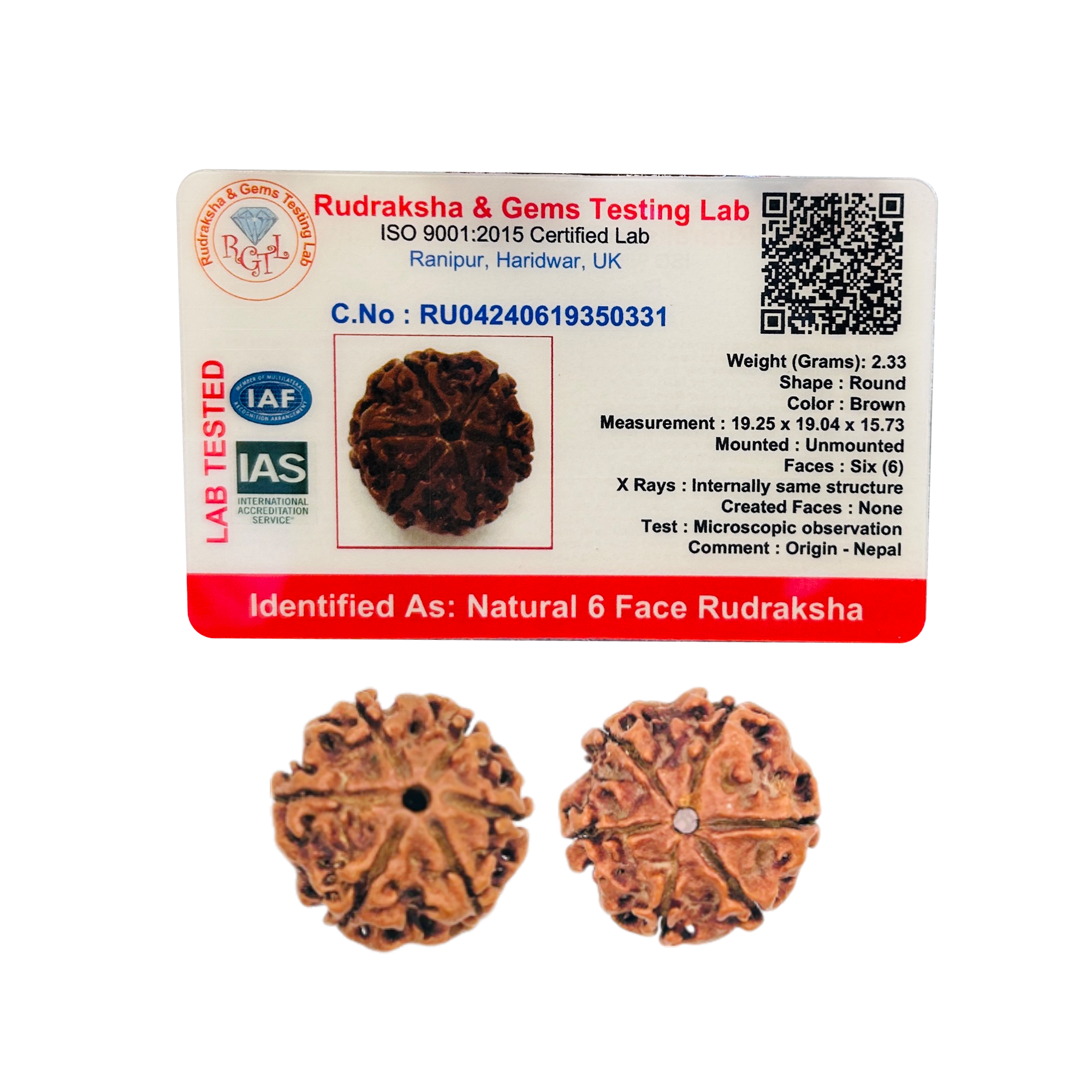 6 Mukhi Rudraksha (Nepali) - Medium