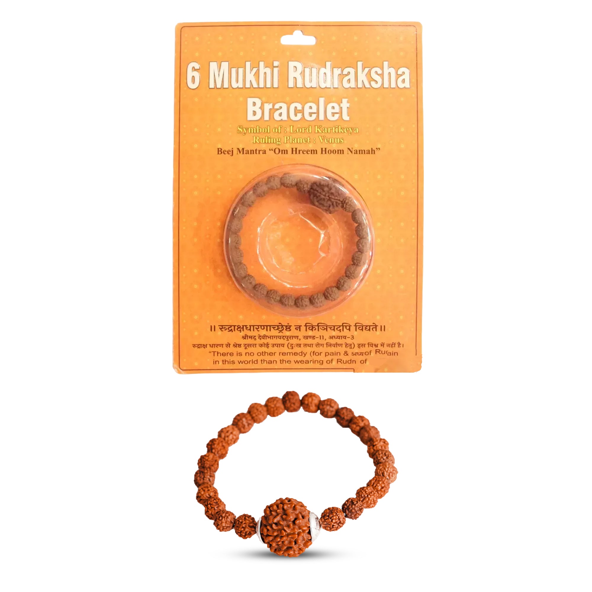 6 Mukhi Rudraksha Bracelet