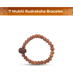 7 Mukhi Rudraksha Bracelet