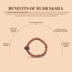 7 Mukhi Rudraksha Bracelet