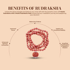 7 Mukhi Rudraksha With 5 Mukhi Rudraksha Mala