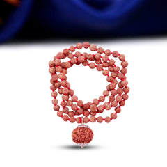 7 Mukhi Rudraksha With 5 Mukhi Rudraksha Mala