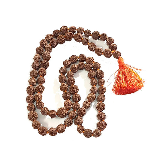 7 mukhi rudraksha mala, 55 beads