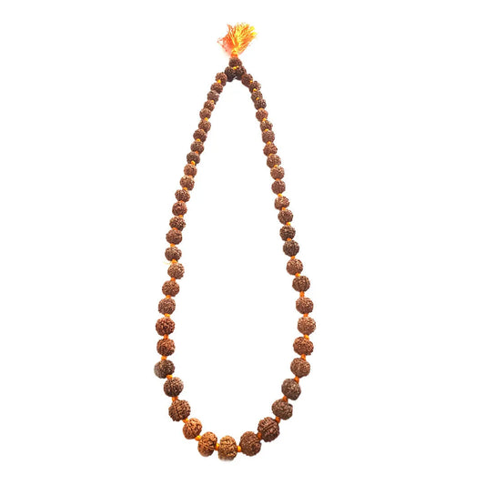 7 mukhi rudraksha mala, 55 beads