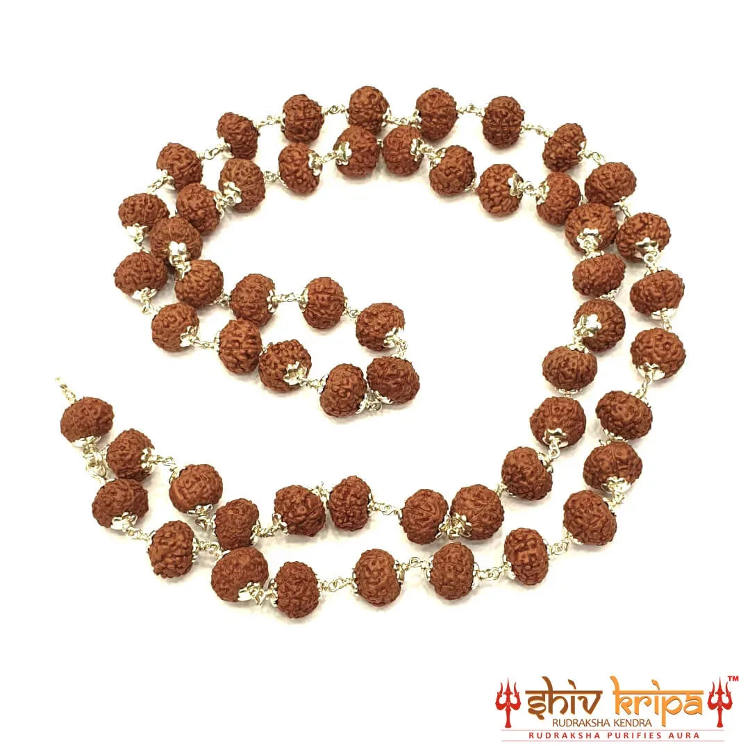 7 mukhi rudraksha mala in pure silver, 54+1 beads 9mm size