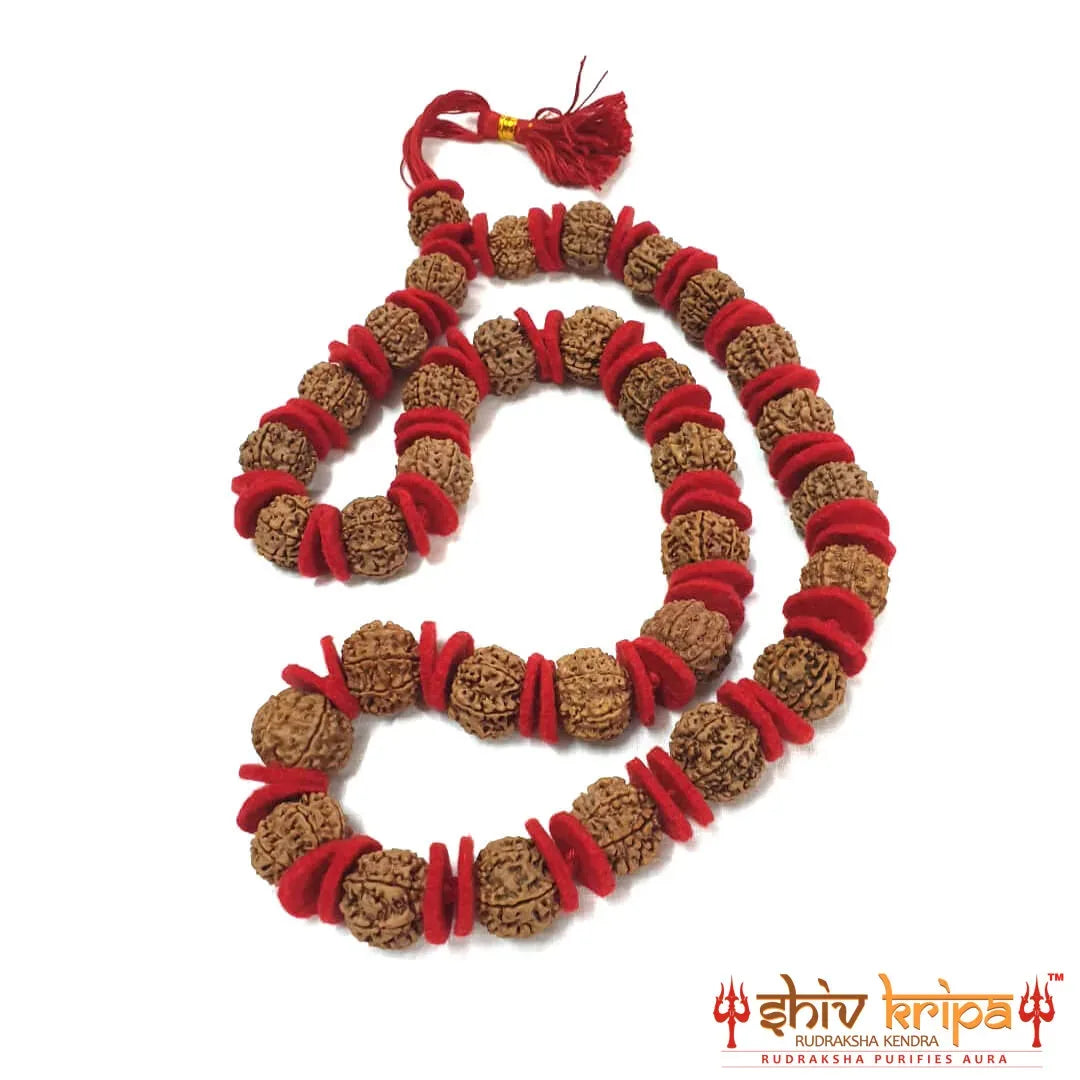 7 mukhi rudraksha nepali mala, 33 beads Premium Quality