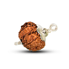 7 Mukhi Rudraksha (Natural Premium)