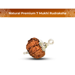 7 Mukhi Rudraksha (Natural Premium)