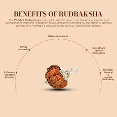 7 Mukhi Rudraksha (Natural Premium)