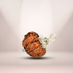 7 Mukhi Rudraksha (Natural Premium)