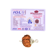 7 Mukhi Rudraksha (Natural Premium)