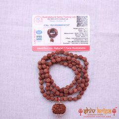 7 Mukhi Rudraksha With 5 Mukhi Rudraksha Mala