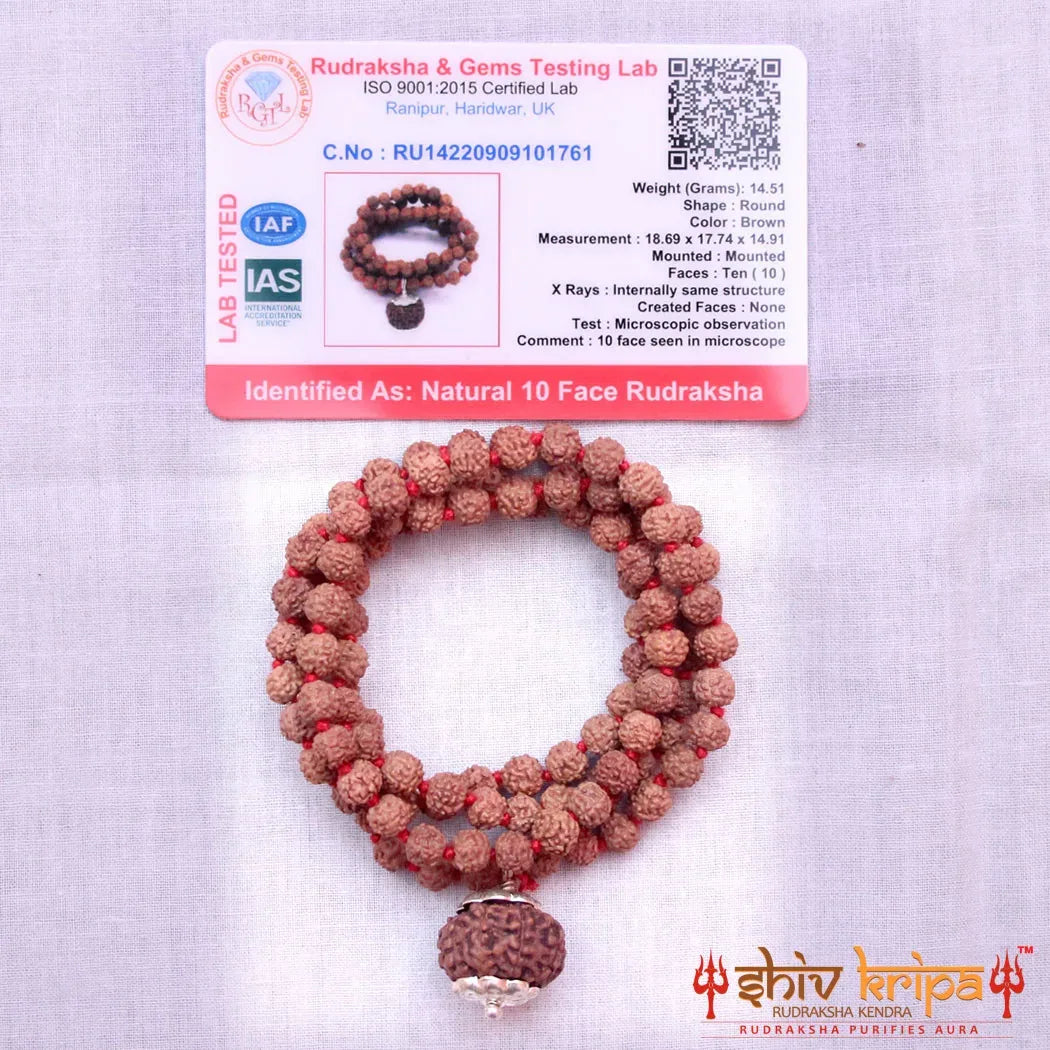 10 Mukhi Rudraksha With 5 Mukhi Rudraksha Mala