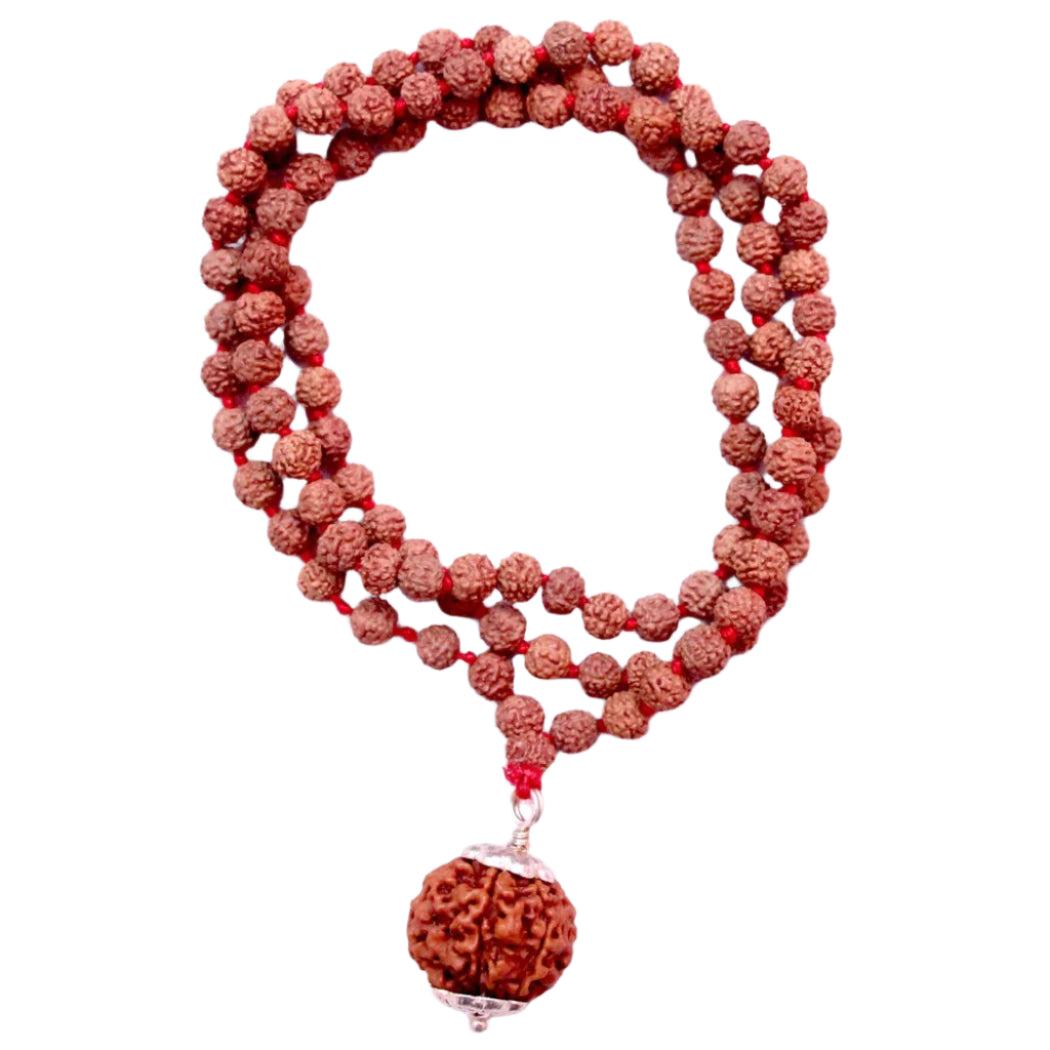 6 Mukhi Rudraksha With 5 Mukhi Rudraksha Mala