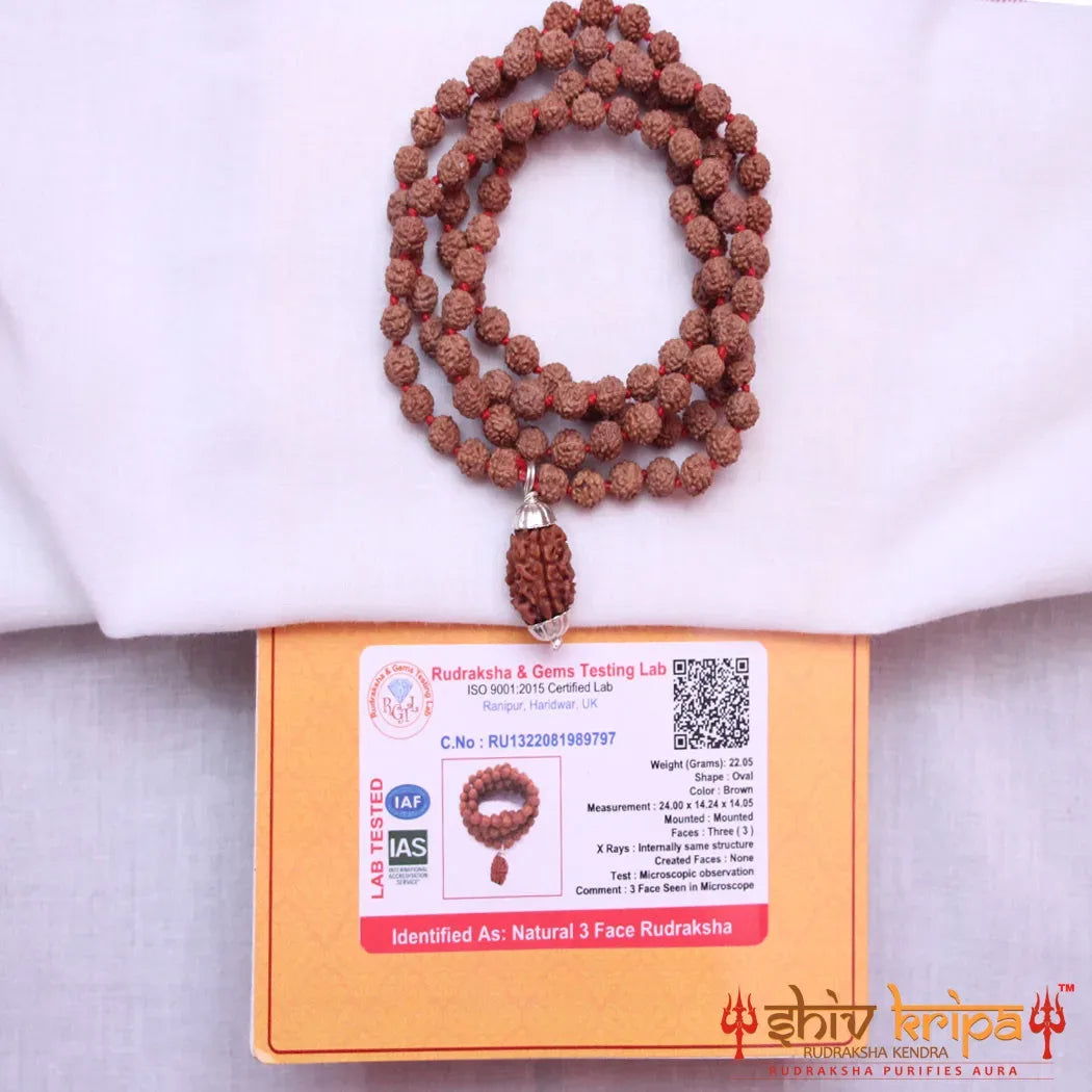 3 Mukhi Rudraksha With 5 Mukhi Rudraksha Mala