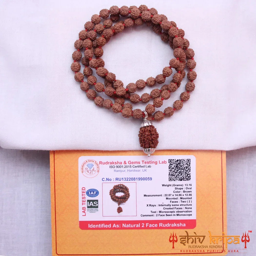 2 Mukhi Rudraksha With 5 Mukhi Rudraksha Mala