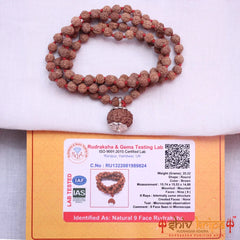 9 Mukhi Rudraksha With 5 Mukhi Rudraksha Mala