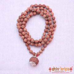 9 Mukhi Rudraksha With 5 Mukhi Rudraksha Mala