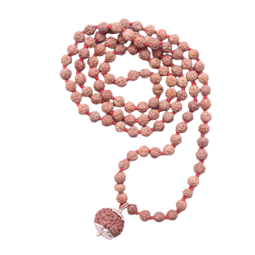 9 Mukhi Rudraksha With 5 Mukhi Rudraksha Mala