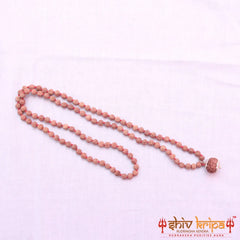 9 Mukhi Rudraksha With 5 Mukhi Rudraksha Mala