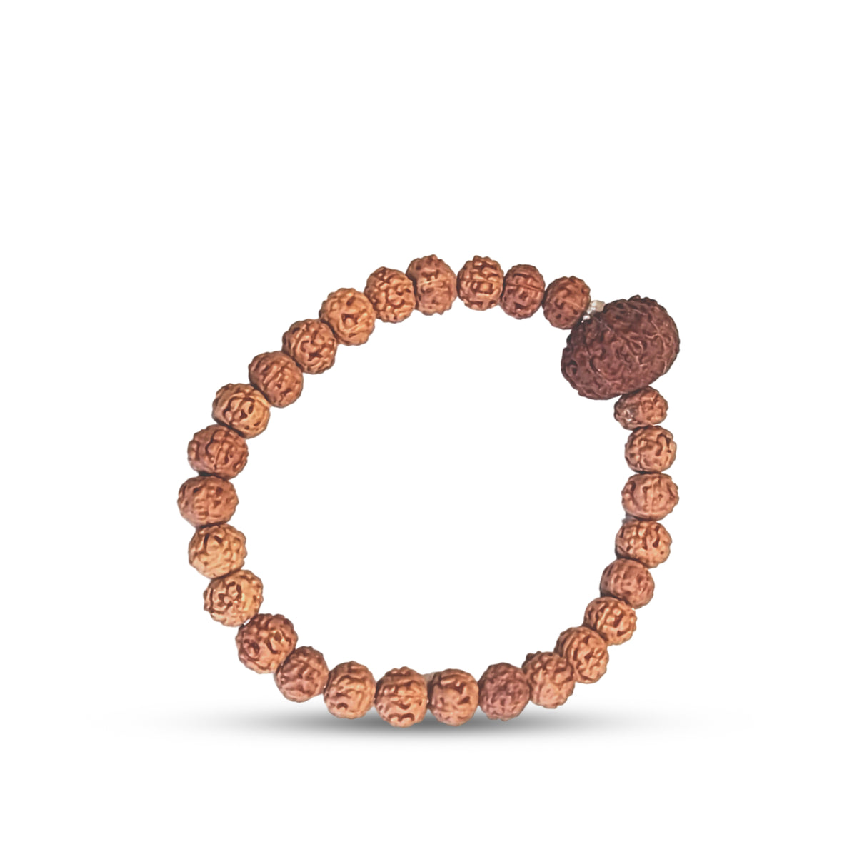 8 Mukhi Rudraksha Bracelet