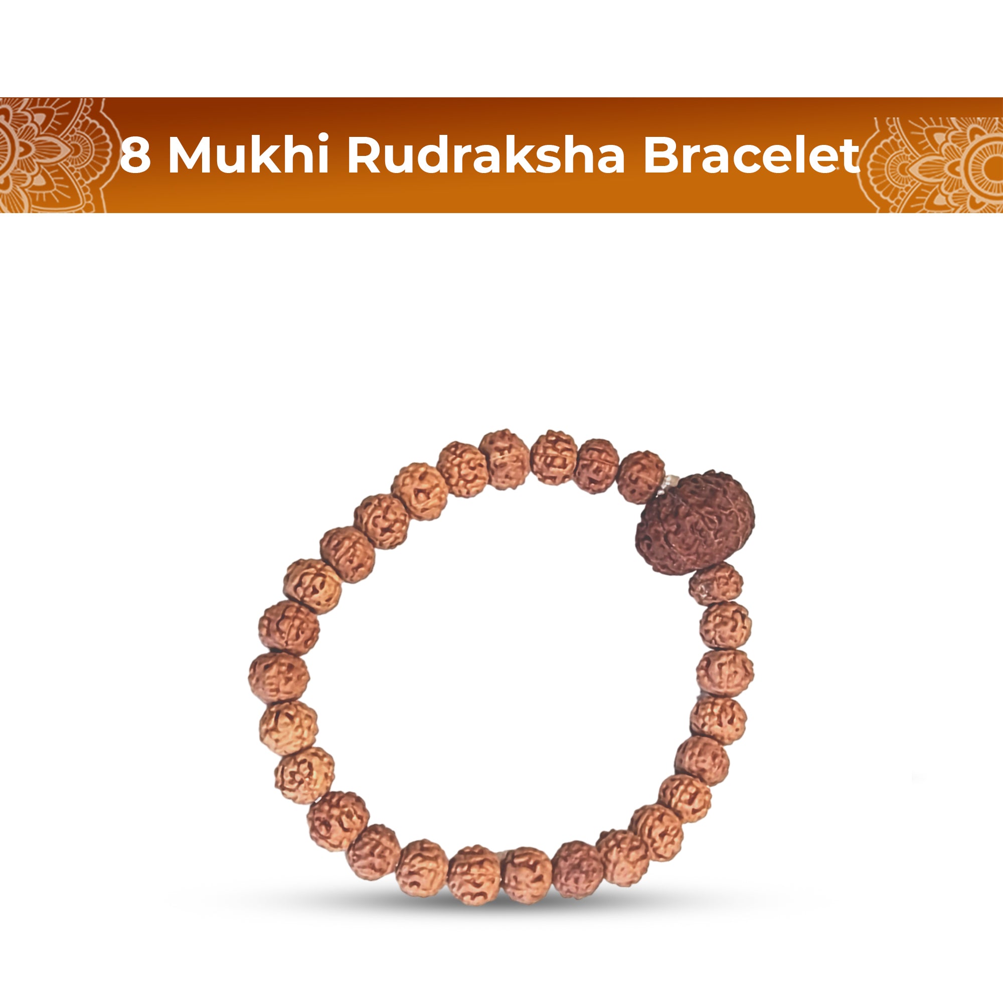 8 Mukhi Rudraksha Bracelet