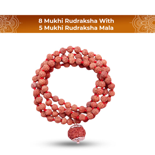 8 Mukhi Rudraksha with 5 Mukhi Rudraksha Mala