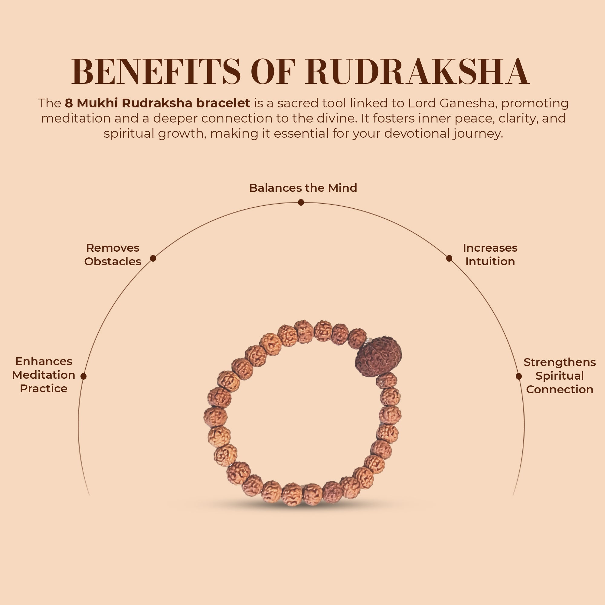 8 Mukhi Rudraksha Bracelet