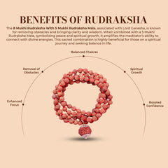 8 Mukhi Rudraksha with 5 Mukhi Rudraksha Mala